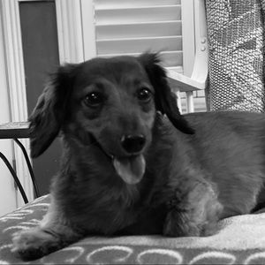 Meet your Posher, Geanna